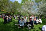 Genieten onder de bloesems, eerste zomerbar open
