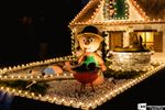 Prins Kenny zwaait scepter over lichtstoet