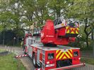 Bus van Paalse wandelclub rijdt tegen tak