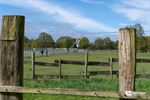 Bijna 1.200 wandelaars op Paastocht Milieu 2000