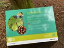 Wildplukpad in 'Park met Smaak'