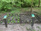 Wildplukpad in 'Park met Smaak'