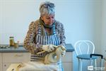 Openlesdagen bij Ateliers voor Overdag