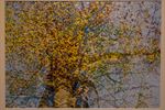 Expo Kunstkring Beringen
