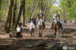 Lente in Nationaal Park Bosland