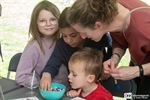Lente in Nationaal Park Bosland