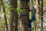 Lente in Nationaal Park Bosland
