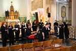Unieke orgelconcerten