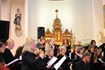 Unieke orgelconcerten