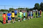 Multimove bij Jeugdwerking Breugel-Herkol