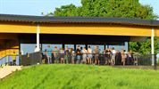 Afsluitdag jeugd Lutlommel VV