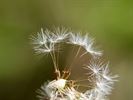 Het is volop lente!