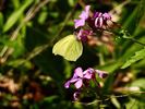 Het is volop lente!