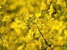 Het is volop lente!