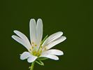 Het is volop lente!