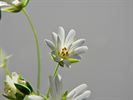 Het is volop lente!