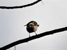 Het is volop lente!