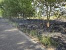 Brand(je) op het Hageven