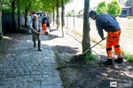 Buren zaaien samen met de stad een bloemenweide
