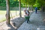Buren zaaien samen met de stad een bloemenweide