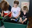 Tuinhier Leopoldsburg plant zaadjes bij De Immert