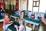 Tuinhier Leopoldsburg plant zaadjes bij De Immert
