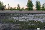 Blokwaters in de avond: een mooie avondwandeling