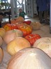 Pompoenen troef in CC Palethe