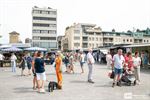 Winnaars Maand van de Markt in de bloemetjes