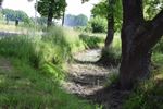 Wandeling langs De Vrundenweg en Buurtweg nr 46