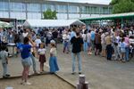 Schoolfeest De Beerring