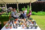 Welkom in de boeiende wereld van cactussen