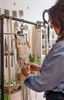 Ambacht en talent op site Lutgart