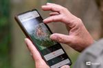 Slow-Walker-wandeling in Den Tip