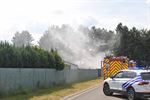 Bosbrandje in Paal