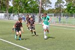 Vijfdaags sportfestival Inspirefest in Lommel