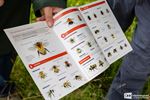 Op hommeltocht in de Vloeiweiden