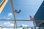 Lommel klaar voor een stralende zomer