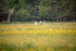 Gezellig samen in de natuur