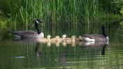 Gezellig samen in de natuur