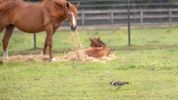 Gezellig samen in de natuur