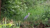 Gezellig samen in de natuur