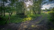Het Hageven: Elke maand anders (mei '25)
