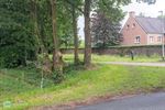 Bomen gerooid voor veiliger zicht op fietssnelweg