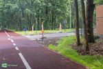 Bomen gerooid voor veiliger zicht op fietssnelweg