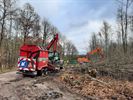 Hechtel-Eksel wint prijs voor houtkantbeheer