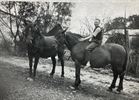 Kriegsgefangenenpost, deel 1