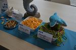 Expo DICHTerbijKUNST geopend