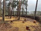 Speelbos overwoekerd