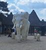 Samana Tervant ging op safari